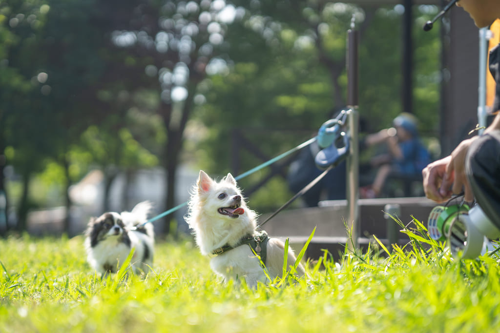 ●ペットウェルカム